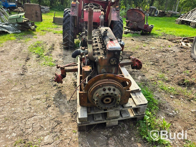 Traktor David Brown 1955