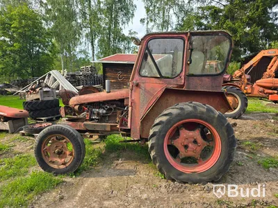 Traktor David Brown 1955