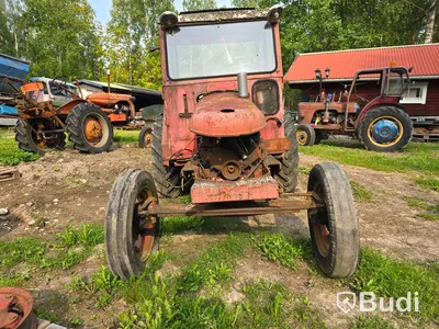 Traktor David Brown 1955