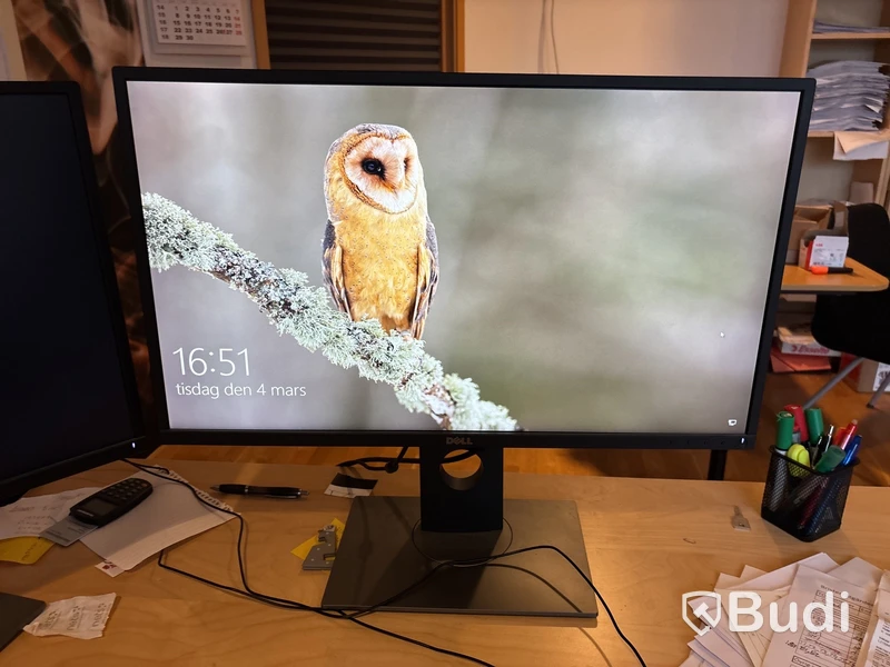 2 st monitorer Dell