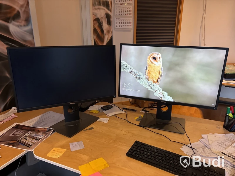 2 st monitorer Dell