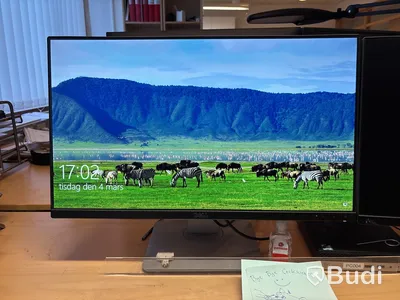 2 st monitorer Dell