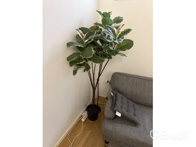 Soffgrupp grå med bord, lampa och konstväxt