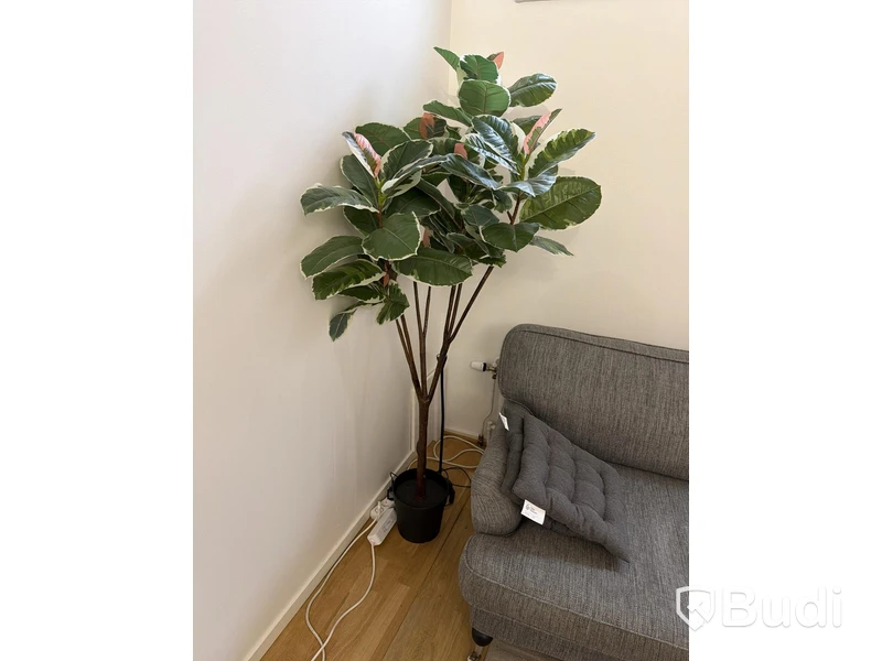 Soffgrupp grå med bord, lampa och konstväxt