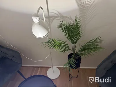Sittgrupp två stolar, bord, golvlampa och växt