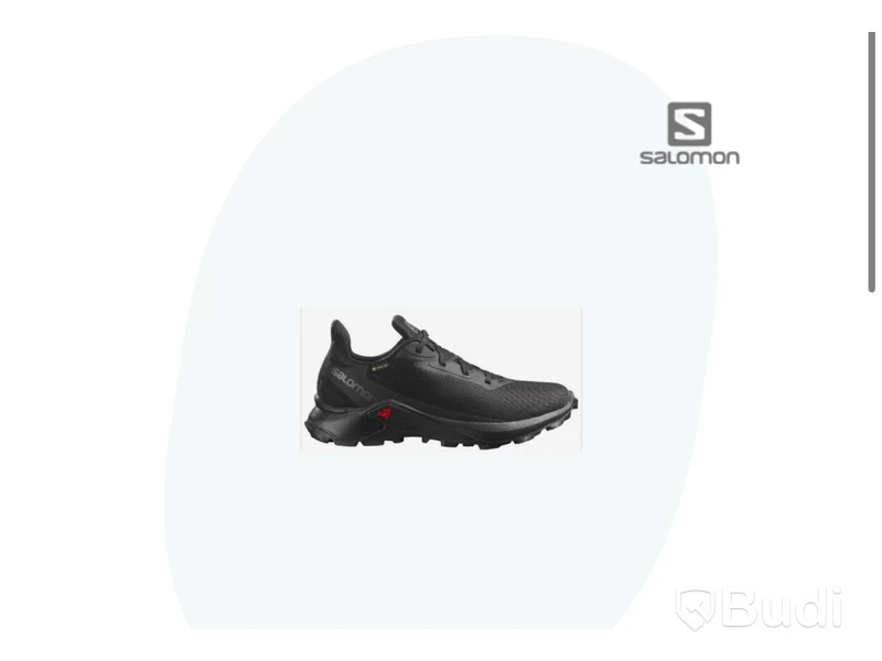 Fritidssko SALOMON Alphacross 4 Gore-Tex svart stl. 43