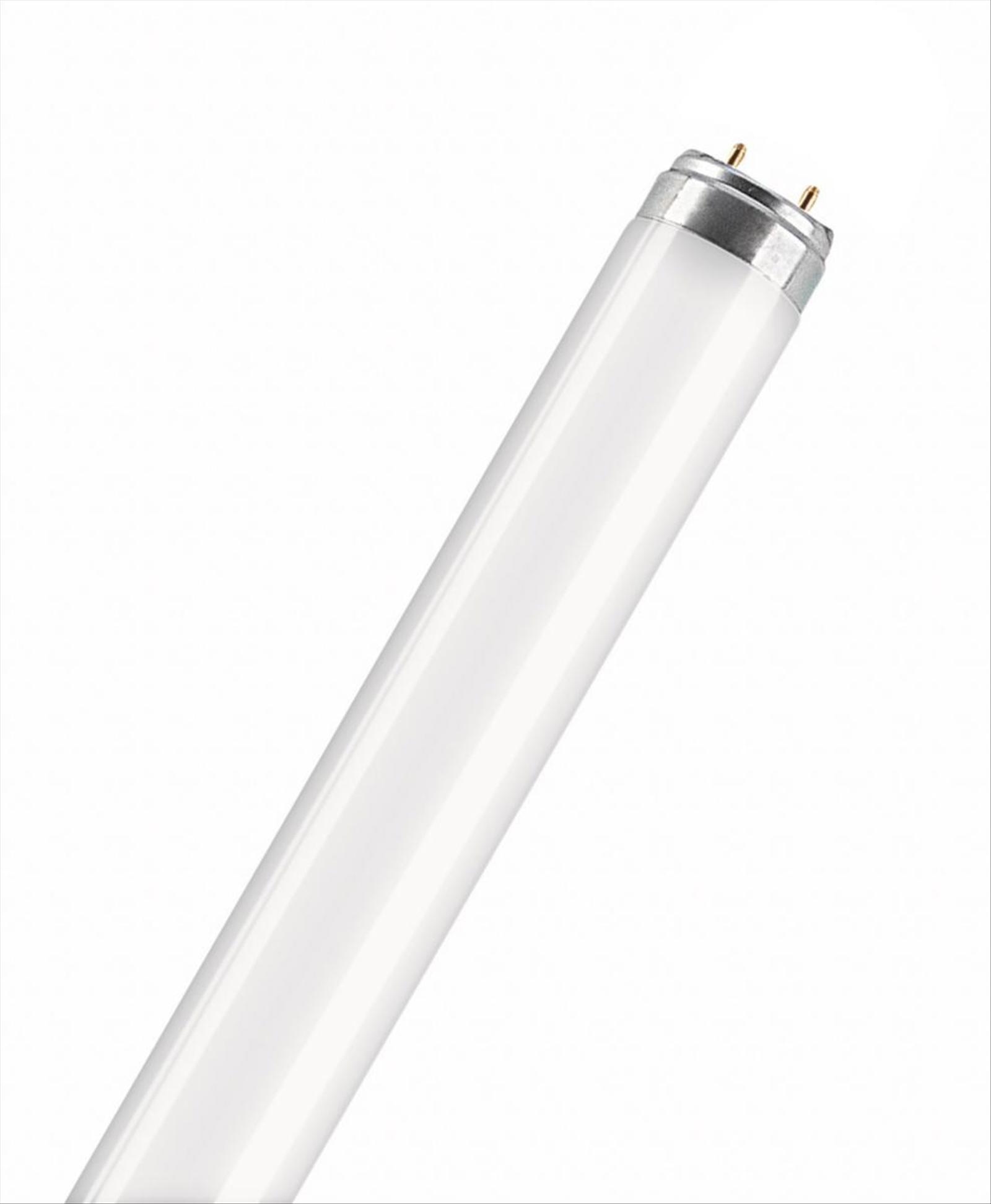 (NEW) 20 PCS. FLUORESCENT TUBES L 18W/31-830,