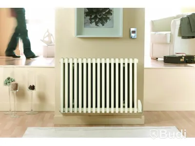 ELRADIATOR Purmo, EPO 1000W, 230V, LVI F2TM00501000A000