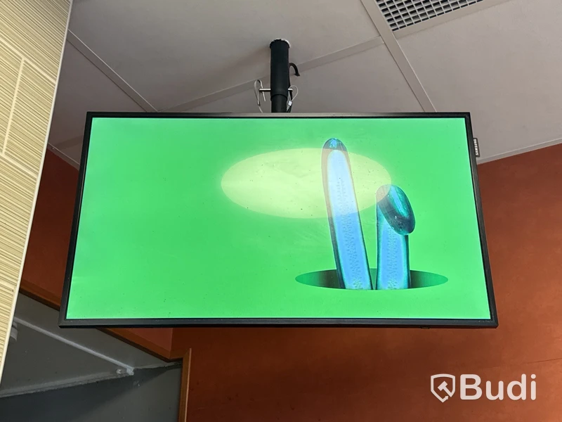Monitor Samsung med takfäste