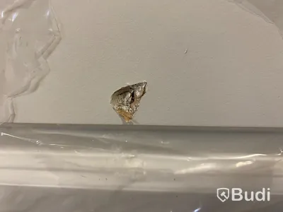 INNERDÖRR SOLID ELEMENTS FINLAND KOMPAKT 8X21