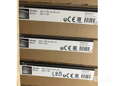 1 pall | 20 st - Spegel Alterna Leo 60x70 cm
