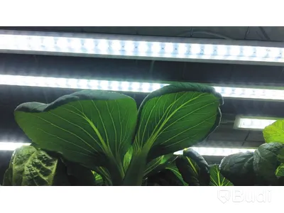 VÄXTBELYSNING LED NELSON GARDEN NO.1 23W 85CM