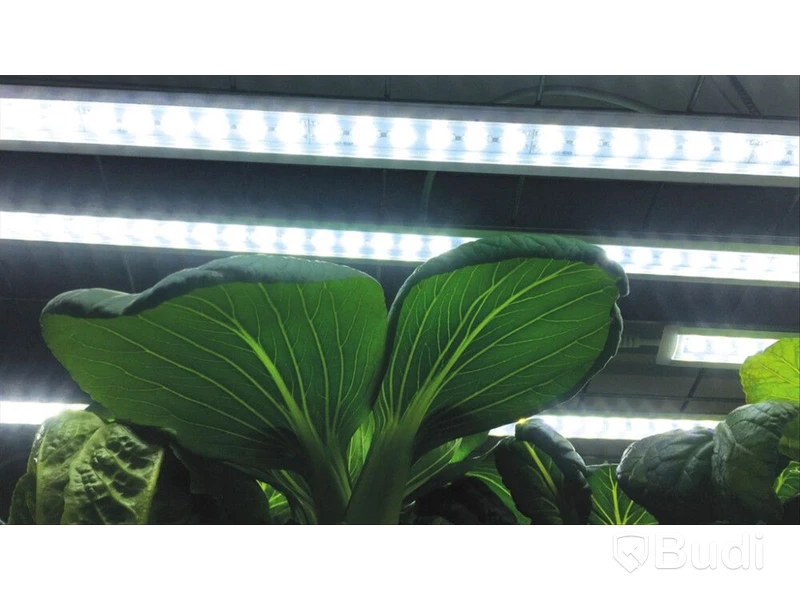 VÄXTBELYSNING LED NELSON GARDEN NO.1 23W 85CM