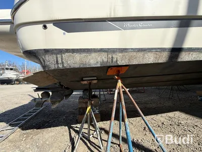 Cranchi Smeraldo 37