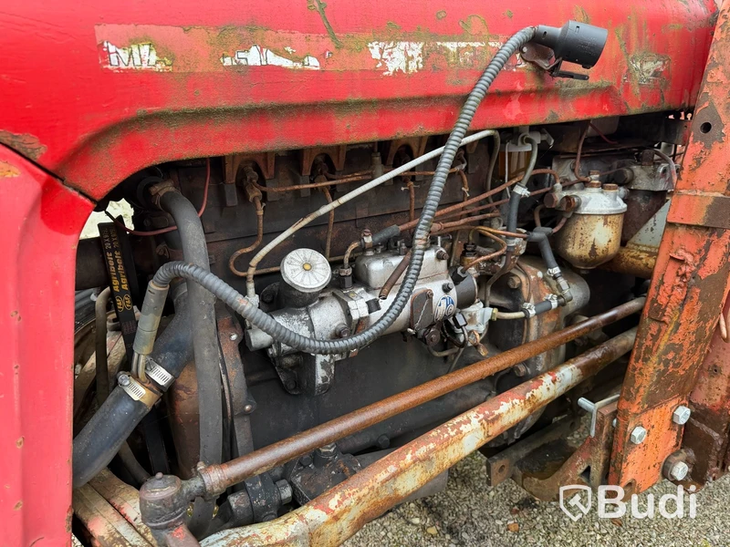 Veterantraktor Massey, 1959, diesel