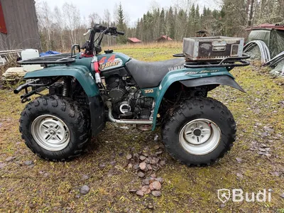 Yamaha Big Bear 350 4x4, YFM350FW, 1995, med snöplog