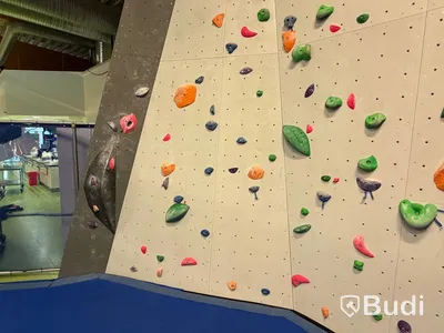 Bouldering Wall, T-Wall