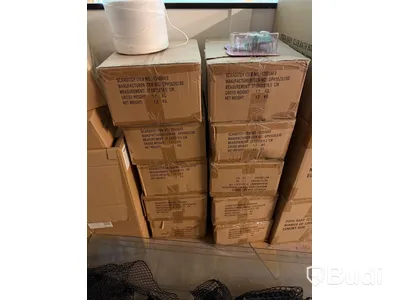 Lot of toys and assorted children's items