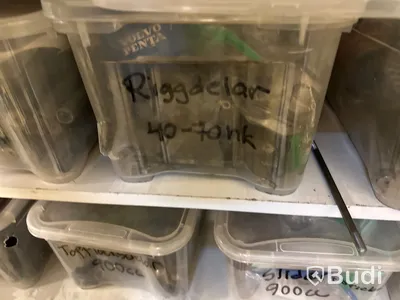 Stort lager reservdelar i huvudsak Penta samt blandade instuktionsböcker