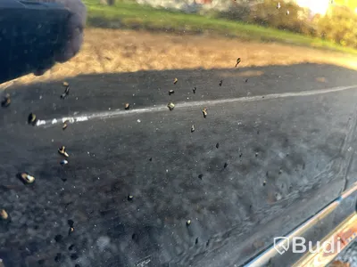 SAAB 9-3 VECTOR -2007 | BENSIN
