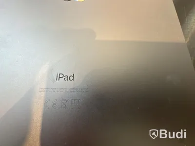 Surfplatta, iPad (10th generation)