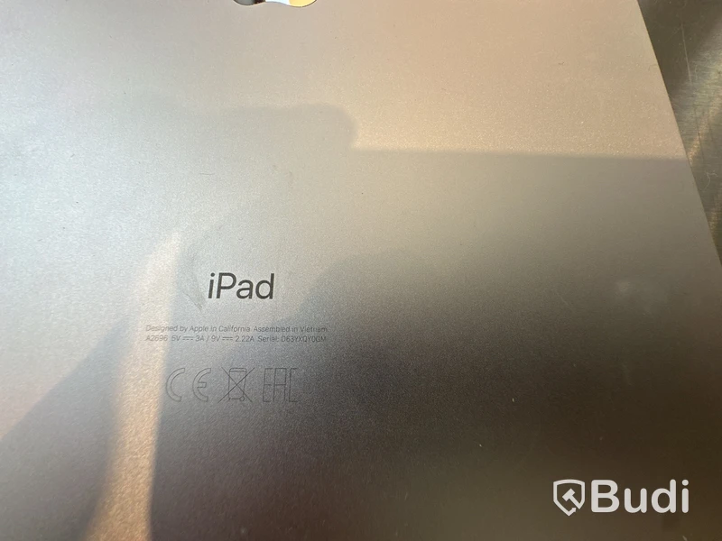 Surfplatta, iPad (10th generation)