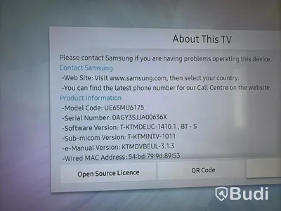 Tv skärm Samsung 65-tum