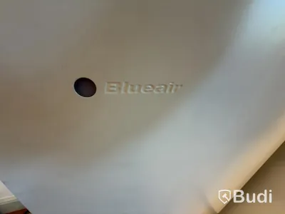 Luftrengörare Blueair Pro L