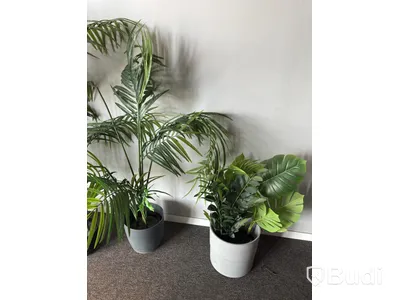 Lot of artificial plants