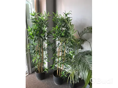 Lot of artificial plants