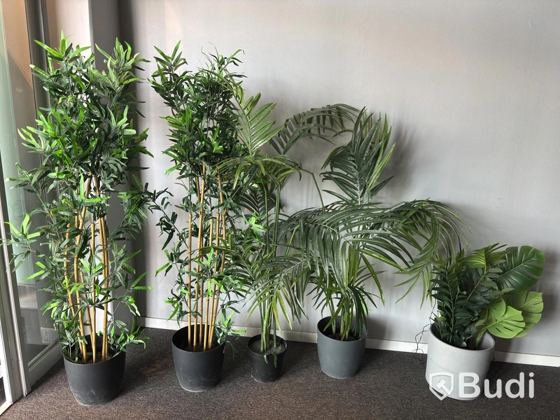 Lot of artificial plants