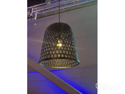 2 Ceiling Lamps