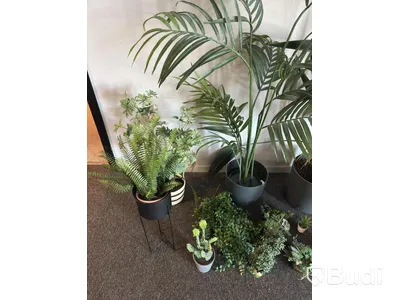 Lot of artificial plants