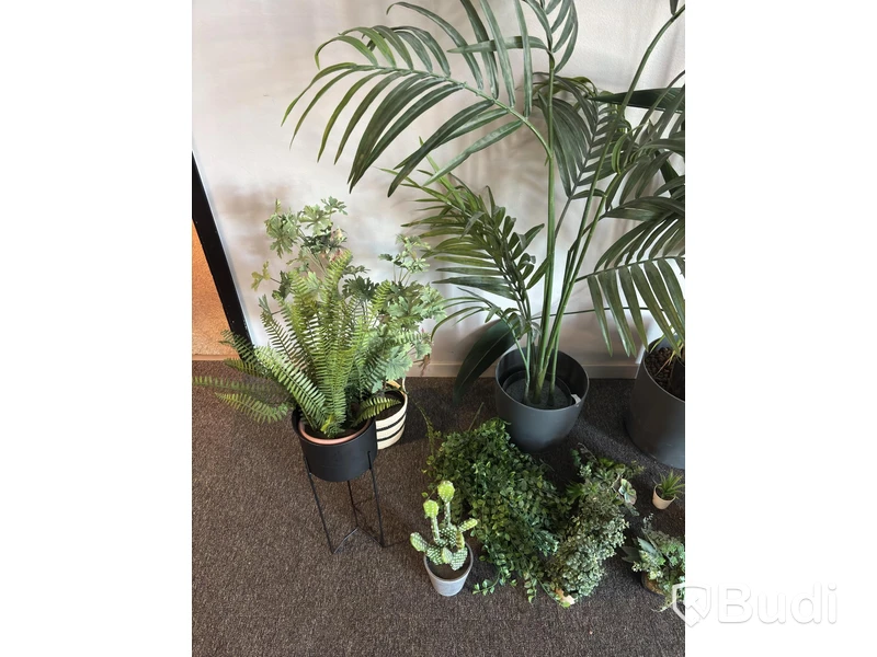 Lot of artificial plants