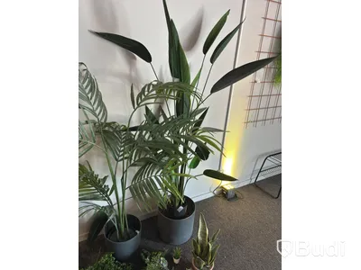 Lot of artificial plants