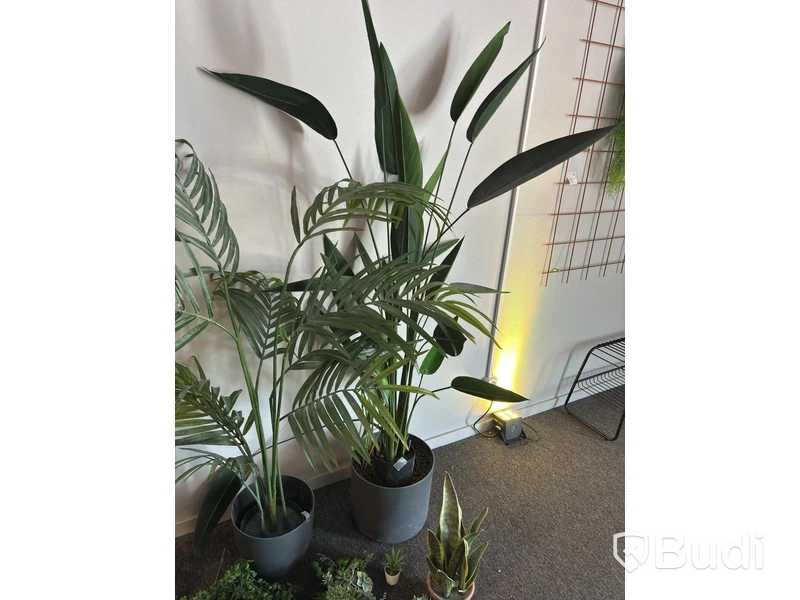 Lot of artificial plants