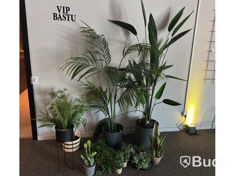 Lot of artificial plants