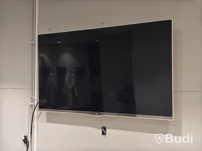 Skärm LG 55 tum