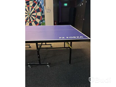 Pingisbord FZ Forza