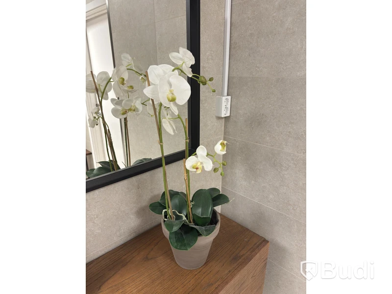 Cabinet including mirror and artificial plant