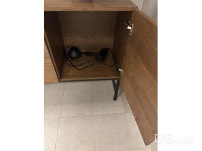 Cabinet including mirror and artificial plant