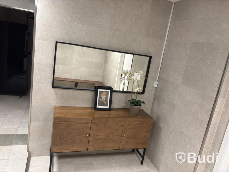Cabinet including mirror and artificial plant