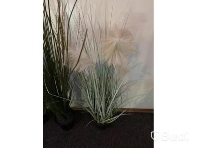 3 Artificial Plants