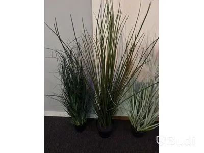 3 Artificial Plants