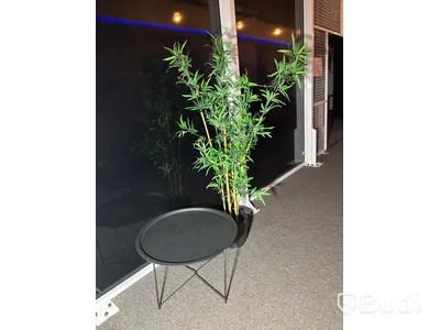 Coffee table incl. artificial plant