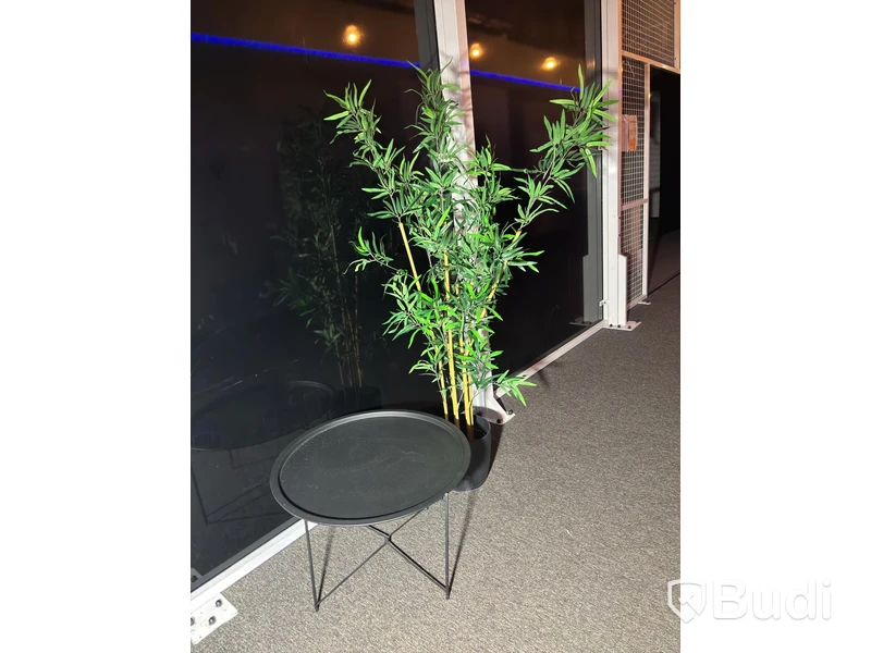 Coffee table incl. artificial plant