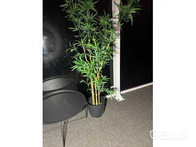 Coffee table incl. artificial plant