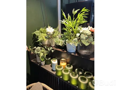 Lot of assorted decor items