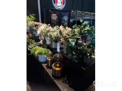 Lot of assorted decor items