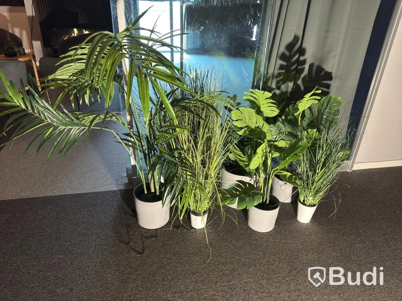 Lot of plants